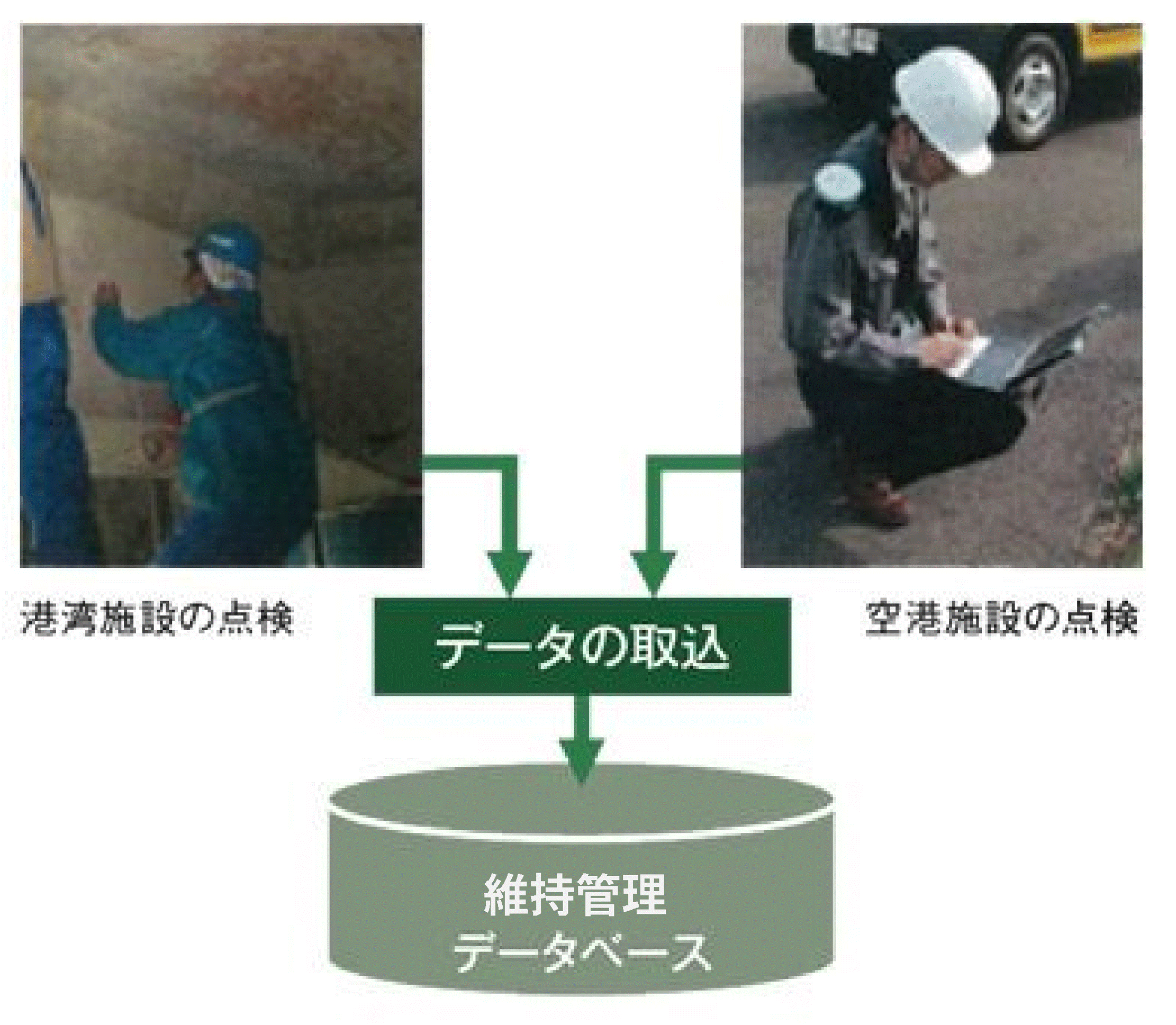 データベースシステムの開発