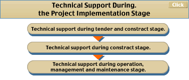 Technical Support During.the Project Implementation Srage