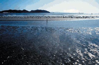 �Đ����ꂽ�����i�O�͘p�j