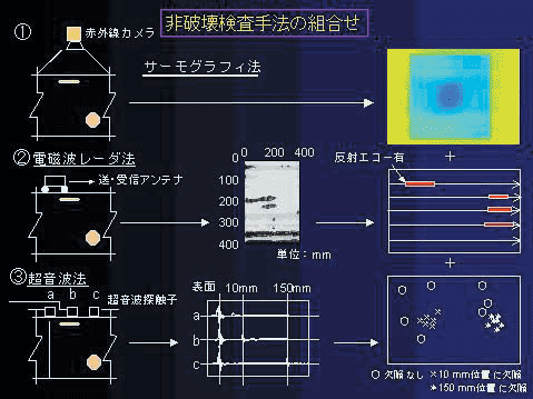 ���w�A�����Z���T�̗Z���ɂ��ϑ�