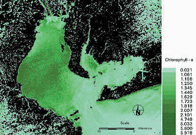 �ɐ��p�ł̃N�����t�B���[a �̕��z