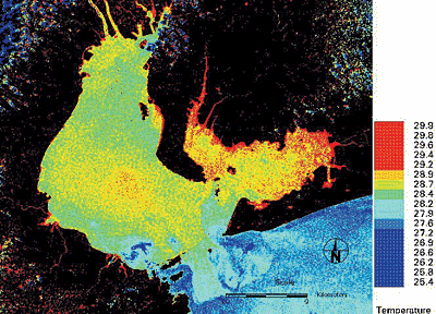 ���ʉ��x�̕��z