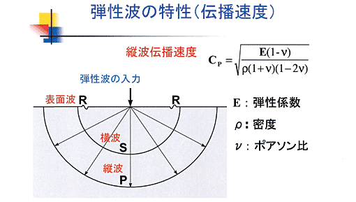 �e���g�̓����i�`�d���x�j