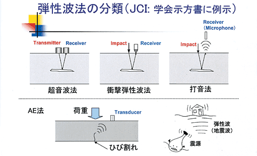 �e���g�@�̕��ށiJCI�F�w������ɗᎦ�j