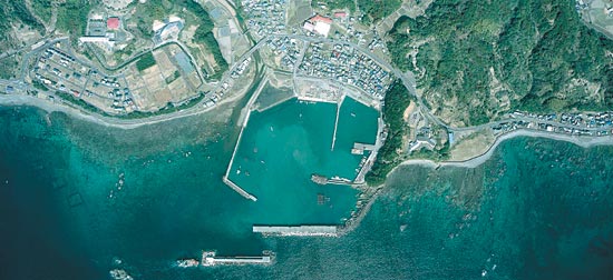 上川口港