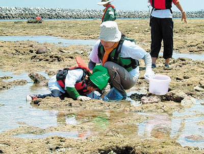 �C�m�[�T�����y���ޕ�q