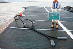 �ʐ^�|�R�@�l�b�g��V�[�g�ƒ��͌v