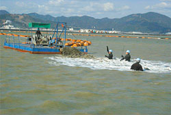 �ʐ^�|�S�@�~�������{�H��