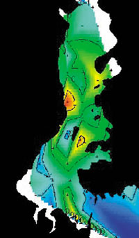 ���p���D�̗L�@�����z