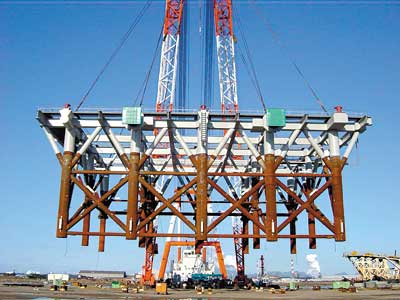 �ʐ^�|�P�@�W���P�b�g����H