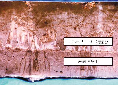 �ʐ^�|1�@�\�ʕی�H�̗�