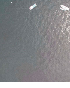 �ʐ^�|1�@�\�ʕی�H�̗�