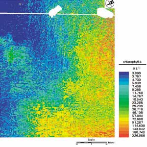 �ʐ^�|�P�@�N�����t�B���|a�Z�x�̐������z�摜