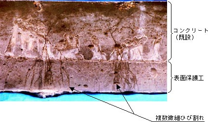 表面保護工に生じた複数微細ひび割れの例