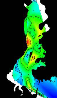 内湾域底泥の有機物分布
